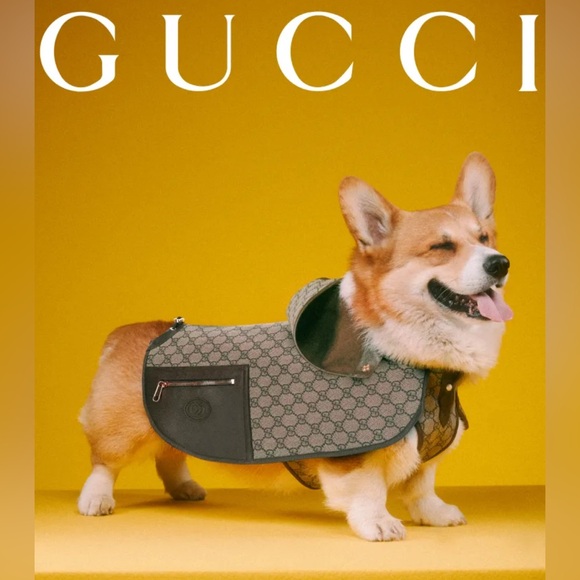 Always have fun with fashion. Dress to entertain yourself.” - Betsey Johnson - Picture 10 of 10